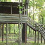 briarpatch10