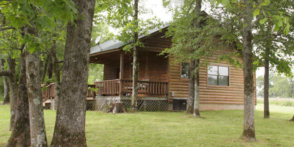 wolfcabin2
